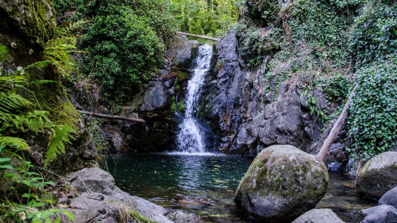 Vila Casa La Fuentecilla El Arenal  Exteriér fotografie